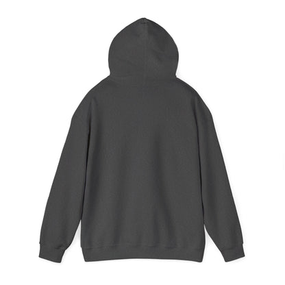 Pickleballer USA Unisex Hoodie