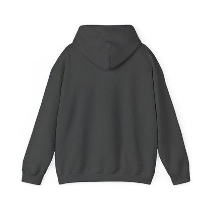 Pickleballer USA Unisex Hoodie